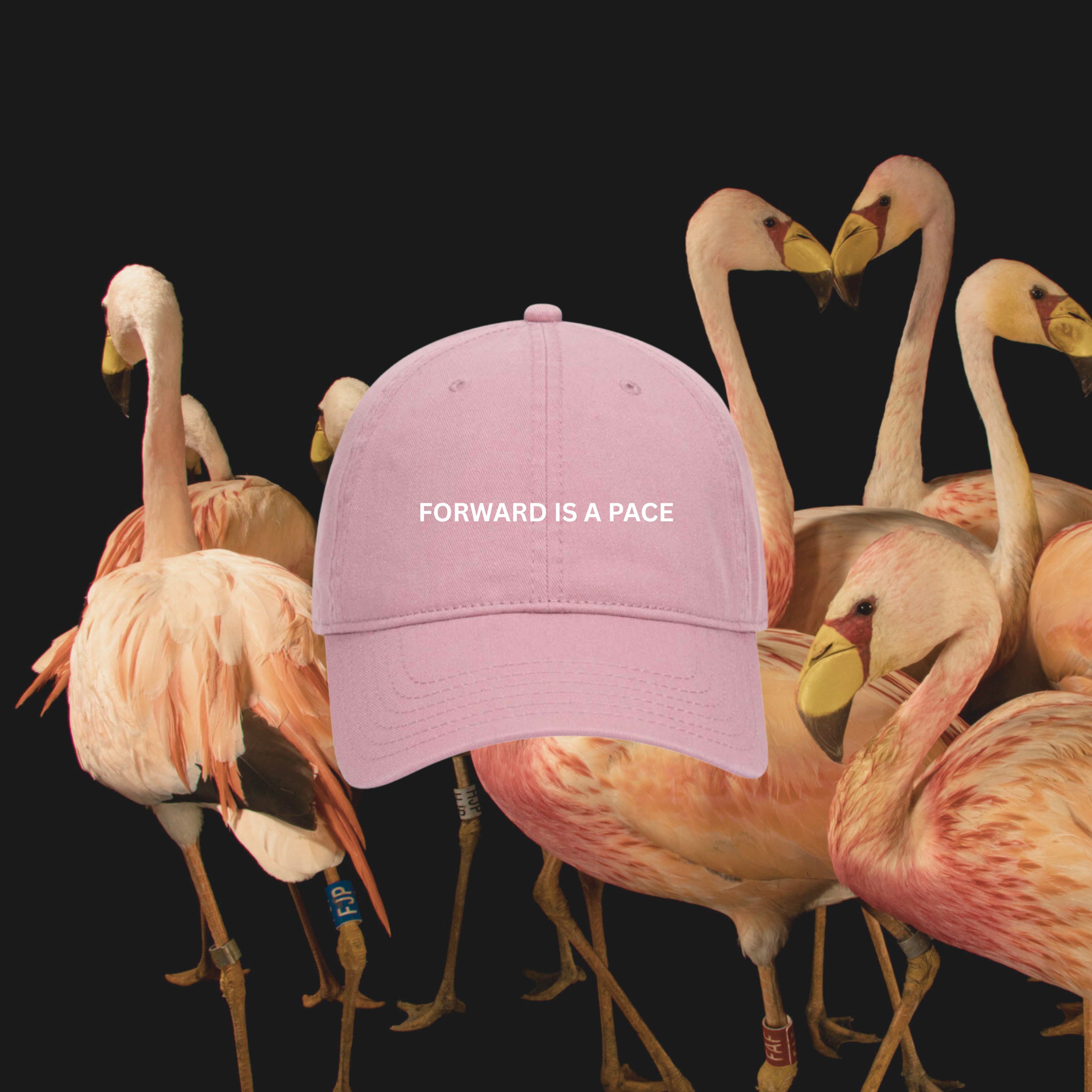 FORWARD IS A PACE