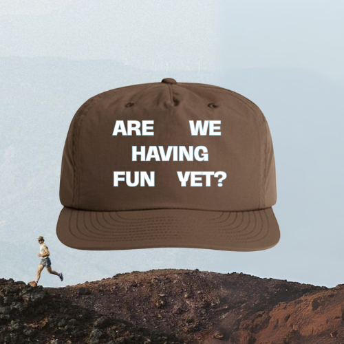 ARE WE HAVING FUN YET? - WALNUT
