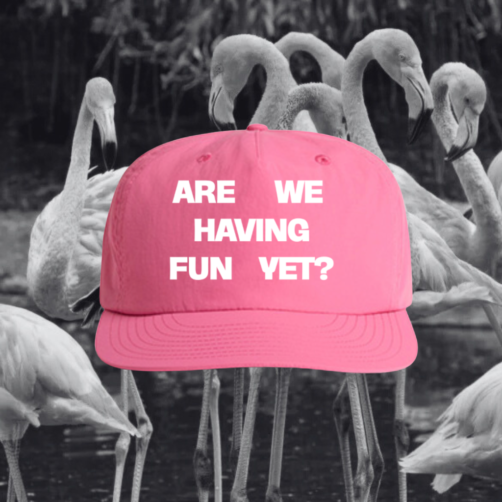 ARE WE HAVING FUN YET? - PINK