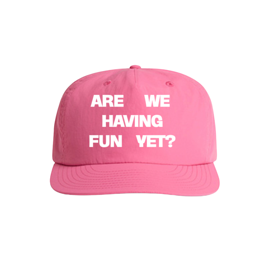 ARE WE HAVING FUN YET? - PINK