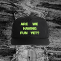 ARE WE HAVING FUN YET? - BLACK - (LIME GREEN LOGO)